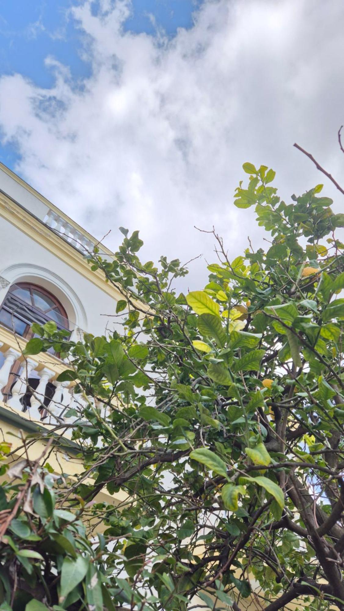 Relais Villa Montedonzelli Nápoles Exterior foto